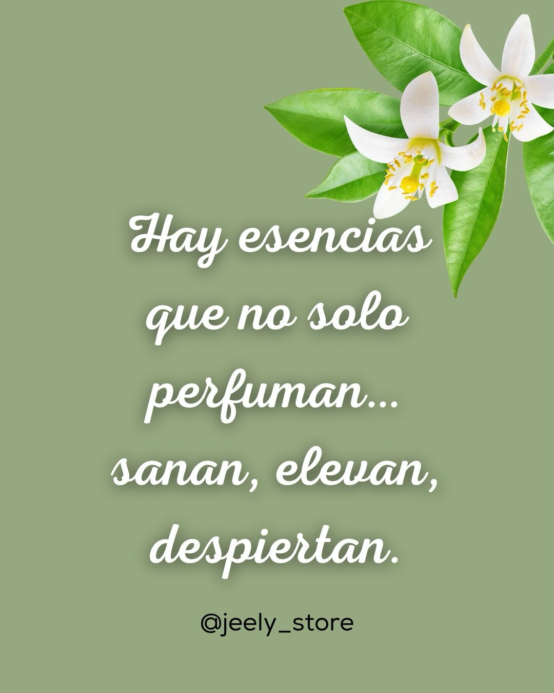 Aceite de Azahar: esencia que calma y enamora 
 
Para quienes buscan bienestar, equilibrio y un aroma que reconforta el alma 💛
Ideal para aromaterapia, rituales de relajación, masajes o simplemente para llenar tu espacio de paz.

✨ Aroma floral y delicado
✨ Sensación de calma y armonía
✨ Perfecto para tu rutina de autocuidado

Descubre el poder del azahar y deja que su fragancia transforme tu día, Usando Quemadores, Difusores, Varitas o darle identidad a tu Vehículo 🚗 🌿
📩 Escríbenos para pedidos y más información.

#AceiteDeAzahar #BienestarNatural #Aromaterapia #EsenciasNaturales #Autocuidado