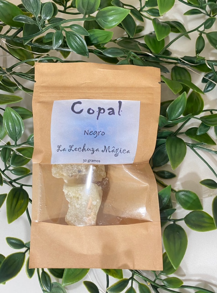 Infusión artemisa 45 GR